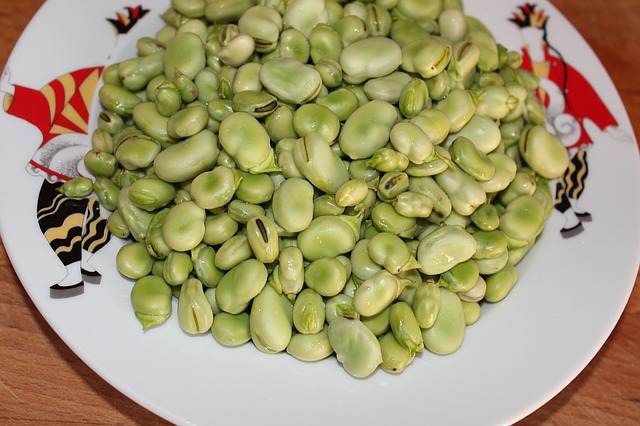 naklíčené fazolky mungo