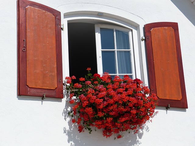 okno domu